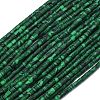 Dyed Synthetic Turquoise Beads Strands G-D356-B02-3