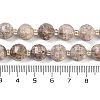 Natural Conch Fossil Beads Strands G-G182-B11-05-5