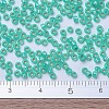 MIYUKI Round Rocailles Beads SEED-G007-RR0572-4