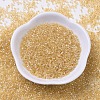 MIYUKI Delica Beads SEED-MY11-DB0100-2