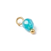 Natural Agate(Dyed & Heated) Faceted Round Charms PALLOY-JF04286-01-4