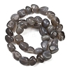 Natural Grey Agate Beads Strands G-L630-F01-01J-3