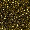 TOHO 6/0 Round Beads SEED-XTR06-0747-4