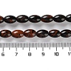 Natural Mahogany Obsidian Beads Strands G-I369-B06-01-5