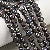 Natural Cultured Freshwater Pearl Beads Strands LS-PEAR-P250214-S-1