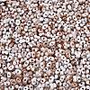 Baking Paint Glass Seed Beads SEED-C003-01L-2