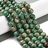 Natural Turquoise Dyed Beads Strands TURQ-U001-02E-2