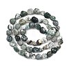 Natural Tree Agate Beads Strands G-D362-A01-3