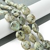 Natural Sesame Jasper Beads Strands G-K365-B16-03-2