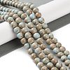 Natural Rainbow Alashan Agate Beads Strands G-NH0022-A07-02-2