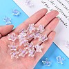 Transparent Acrylic Beads LS-MACR-S373-105-B02-6