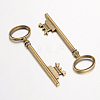 Tibetan Style Alloy Skeleton Key Large Pendants LS-TIBEP-S105-AB-RS-2