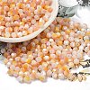 Baking Painted Glass Seed Beads SEED-C004-03H-1