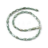 Natural Freshwater Shell Dyed Beads Strands SHEL-M018-13-11-2