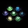 Transparent Luminous Acrylic Pendants TACR-Z002-02-5