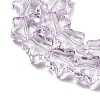 Baking Paint Transparent Glass Beads Strands DGLA-A07-T8mm-KD02-3