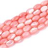 Natural Trochus Shell Beads Strands SHEL-K006-19-01E-1