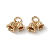 Rack Plating Brass Charms KK-C020-02LG-1