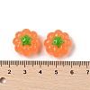 Resin Cabochons RESI-S012-03B-3