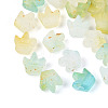Frosted Transparent Acrylic Beads FACR-T009-01E-1