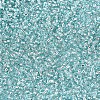 12/0 Grade A Round Glass Seed Beads SEED-Q007-F47-3