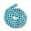 Natural Howlite Beads Strands G-G001-B02-05-3