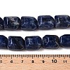 Natural Sodalite Beads Strands G-N342-145-5