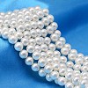 AB Color Plated Shell Pearl Round Bead Strands BSHE-L011-8mm-C001-1