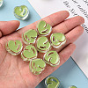 Transparent Enamel Acrylic Beads TACR-S155-004D-5