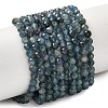 Natural Kyanite/Cyanite/Disthene Beads Strands G-G259-D04-3mm-2