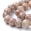 Natural Maifanite/Maifan Stone Beads Strands G-P451-01A-B-3