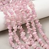 Natural Kunzite Beads Strands G-P597-A01-01-1