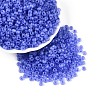 6/0 Transparent Inside Colours Glass Seed Beads SEED-N008-08E-1