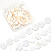 2 Strands Natural Freshwater Shell Beads Strands SSHEL-SC0001-36B-1