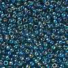 TOHO 6/0 Round Beads X-SEED-TR06-0167BD-3