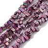 Natural Freshwater Shell Beads Strands BSHE-H018-07F-1