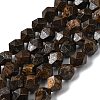 Natural Bronzite Beads Strands G-Z119-A30-03-3