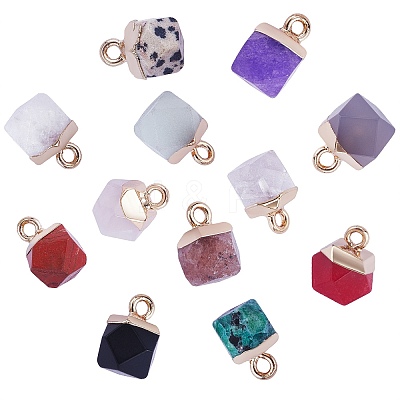 12Pcs 12 Styles Natural & Synthetic Gemstone Charms G-SZ0002-13-1