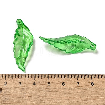 Transparent Acrylic Pendant OACR-E039-69G-1