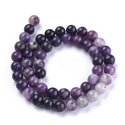 Natural Lepidolite/Purple Mica Stone Beads Strands G-K415-8mm-1