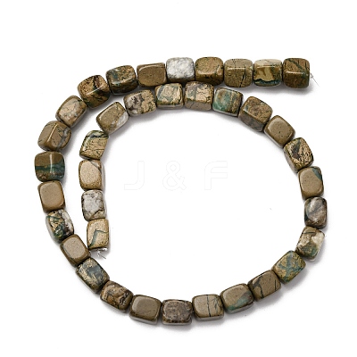 Natural Verdite Stone Beads Strands G-B155-D08-1