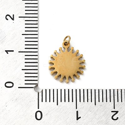 304 Stainless Steel Charms STAS-K263-06G-01-1