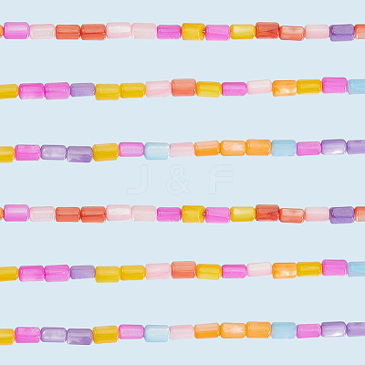4 Strands Natural Freshwater Shell Dyed Beads Strands SHEL-SC0001-75-1