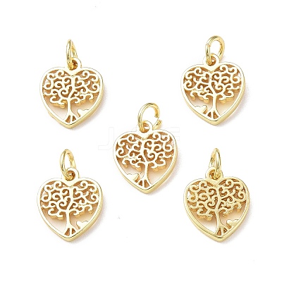 Rack Plating Brass Charms KK-F849-03G-1