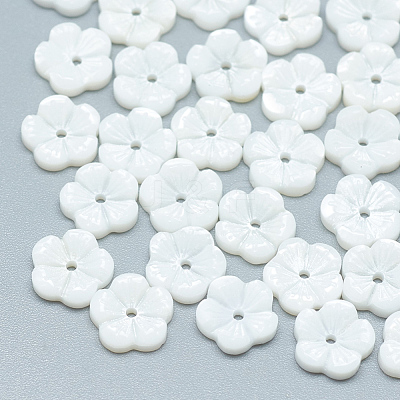 Freshwater Shell Beads SHEL-S275-015-1