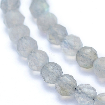 Natural Labradorite Beads Strands G-I279-E19-1