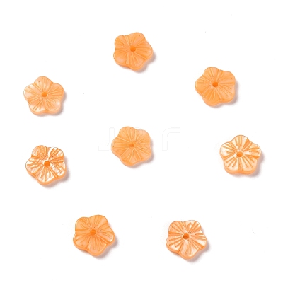 Natural Freshwater Shell Beads SHEL-C001-15B-1