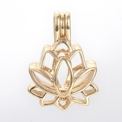 Alloy Diffuser Locket Pendants PALLOY-S062-40G-1