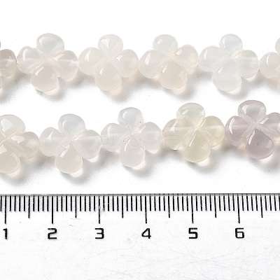 Natural White Agate Beads Strands G-P520-A01-01-1