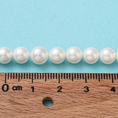 Shell Pearl Bead Strands X-BSHE-L026-03-6mm-1